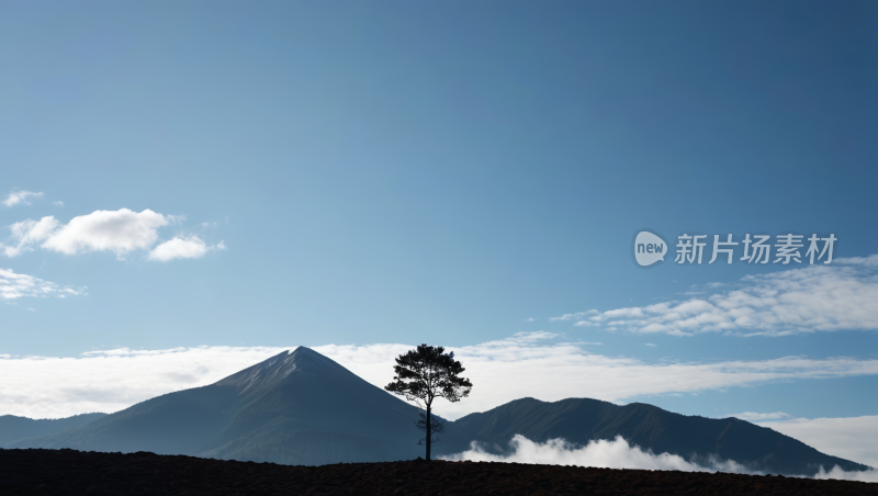 山上一棵孤树一座山高清图片