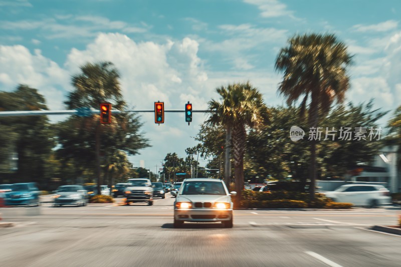 马路上行驶的车辆与棕榈树