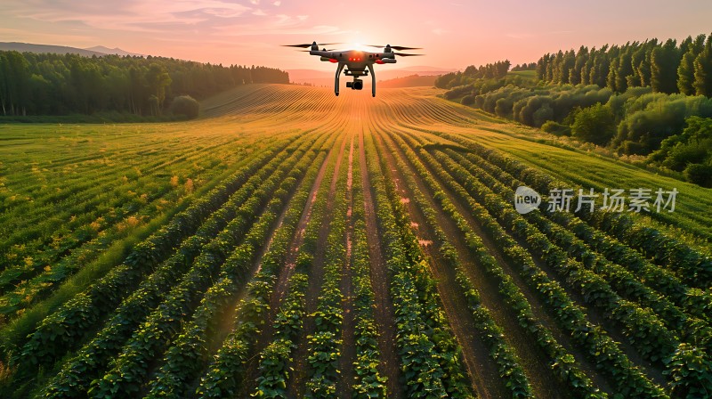 科技助力农业发展无人机巡田监测作物生长状况