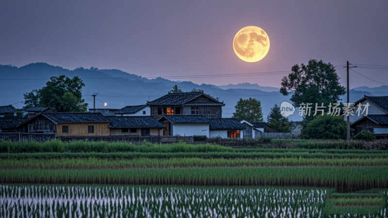 农村里的中秋圆月