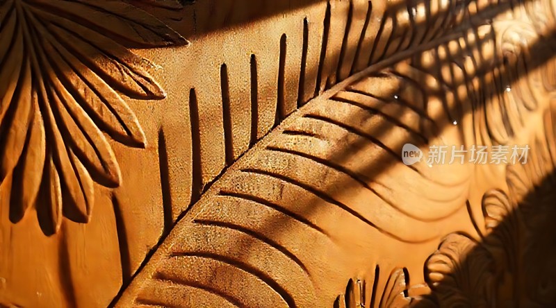 阳光下的叶子纹理