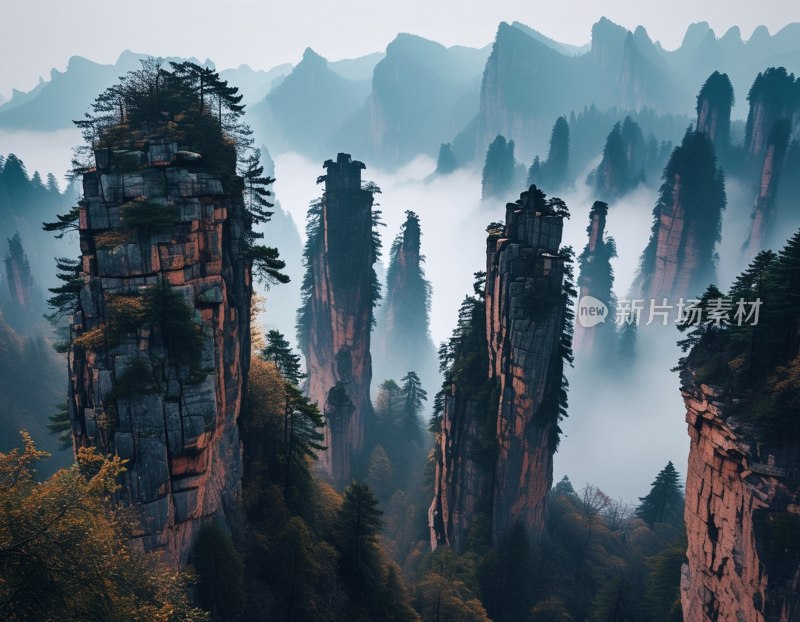 张家界雾中山景