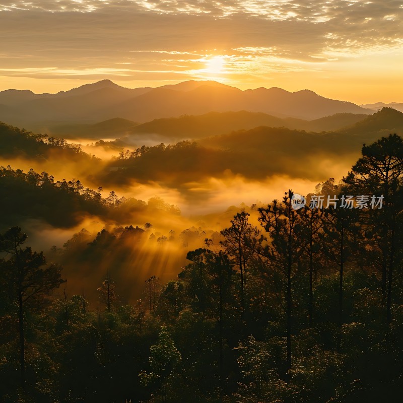 晨曦中的金色山谷