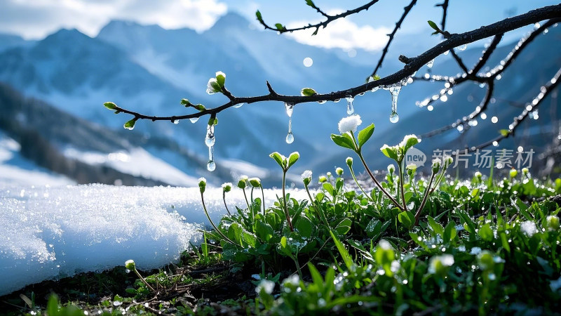 春天万物复苏冰雪融化