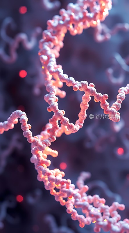 DNA螺旋结构之美