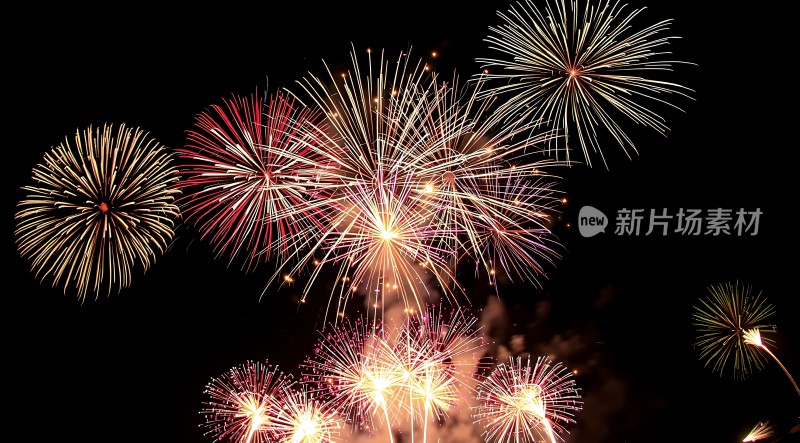 璀璨烟花夜空绽放
