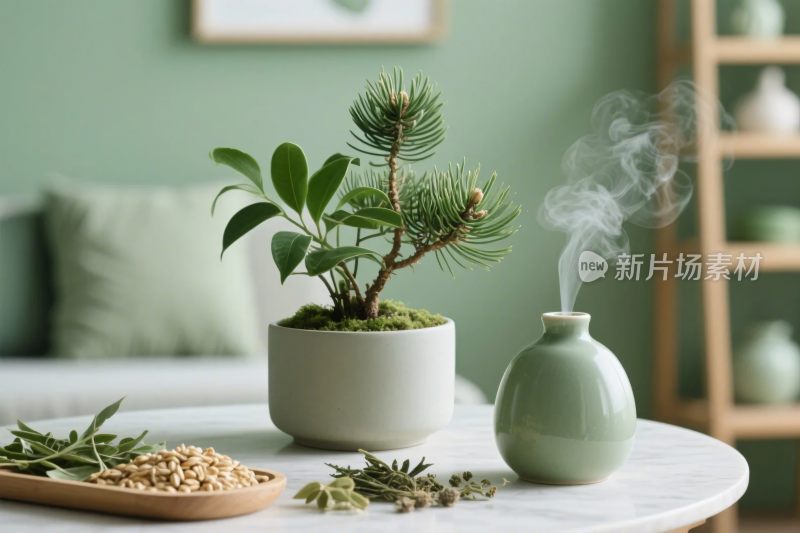 室内绿植香薰摆件场景