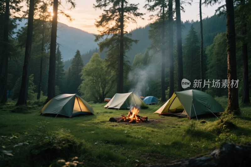 森林中露营的美好场景