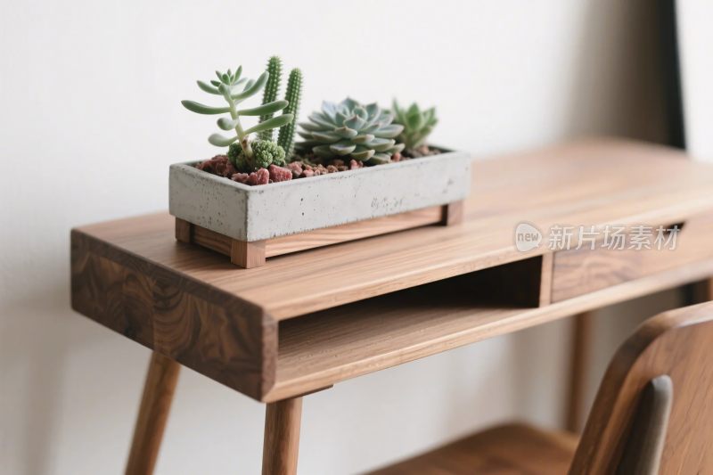 室内多肉植物布置