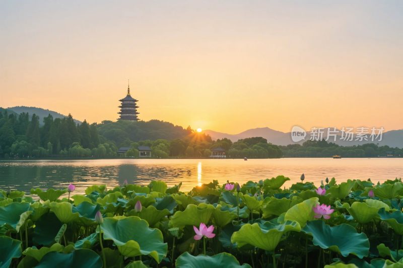 山水荷塘古塔风景