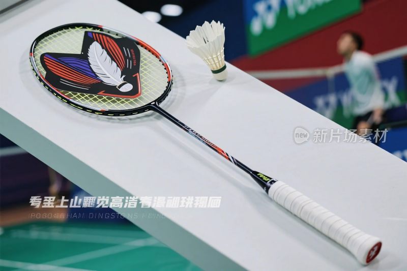 羽毛球拍与羽毛球展示图