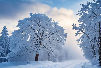 冬天冰雪天空自然风景