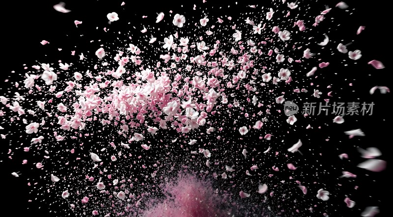 粉红花瓣飘落夜空