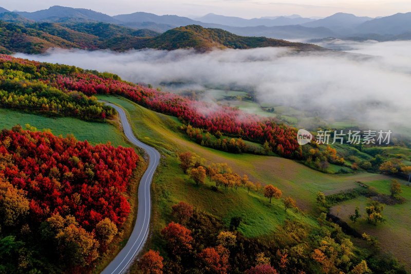 山间公路秋日美景