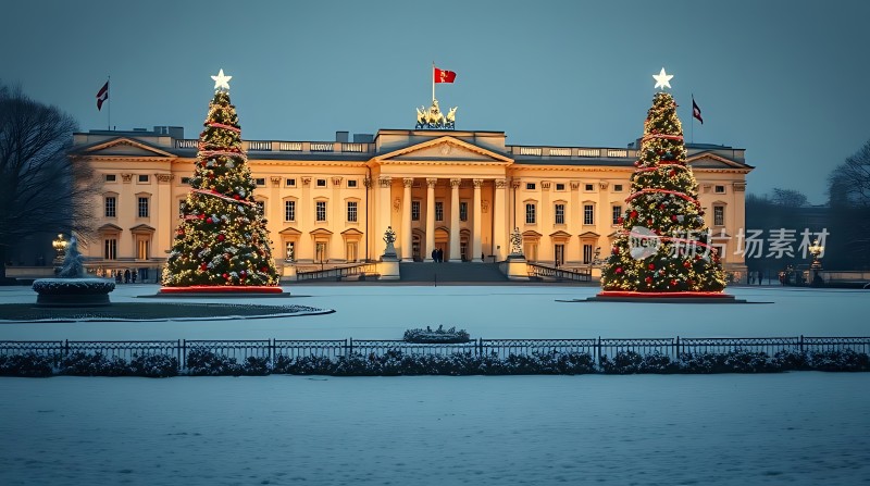 白宫圣诞树下的雪夜美景