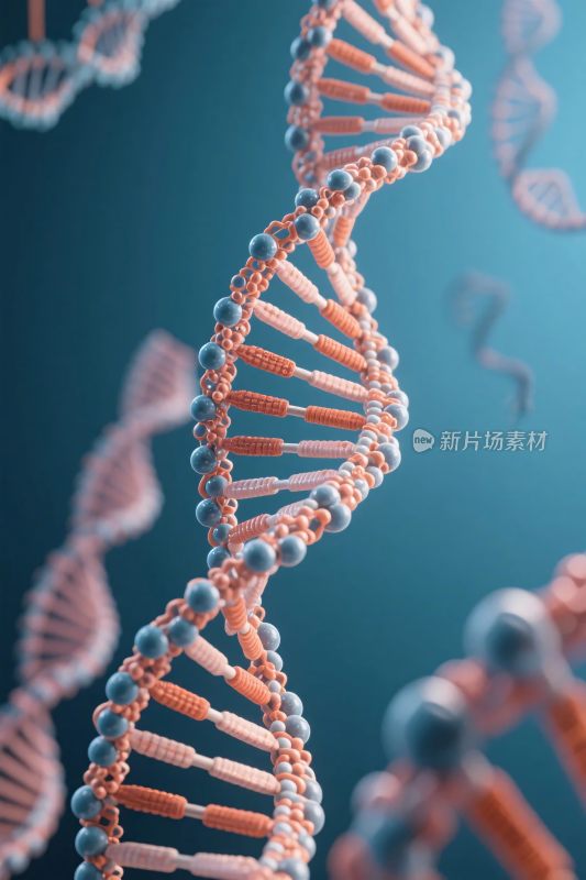 双螺旋结构插画