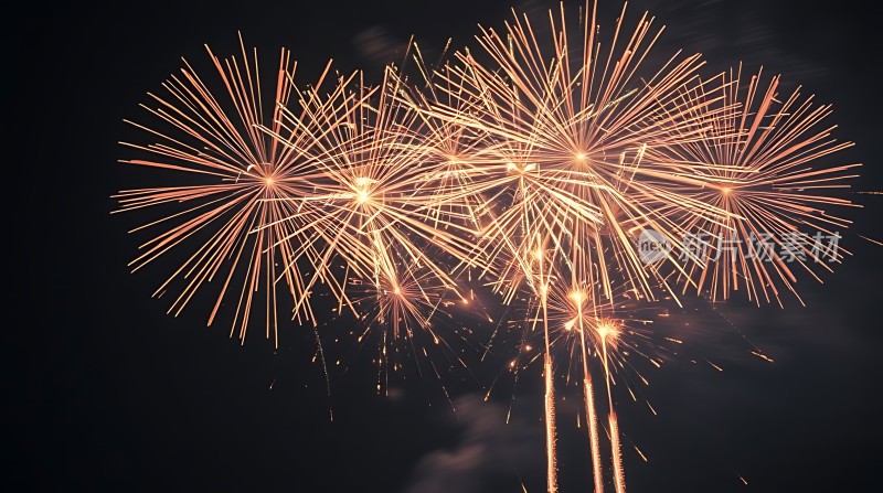 夜空烟花绽放璀璨夺目