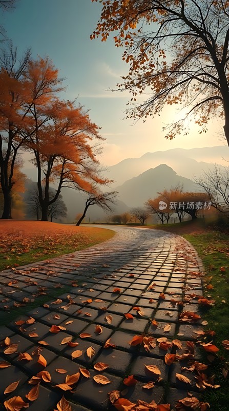 秋日暖阳下的宁静小径