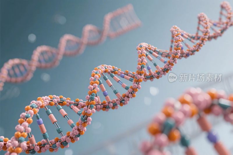 双螺旋结构示意图