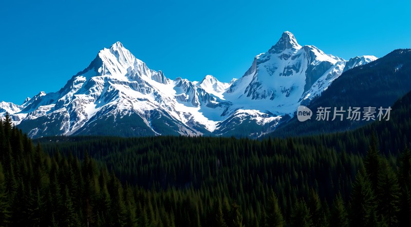 雪峰林海映蓝天