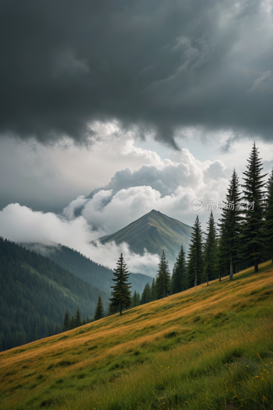 一匹马站在山上的草地上高清风景图片