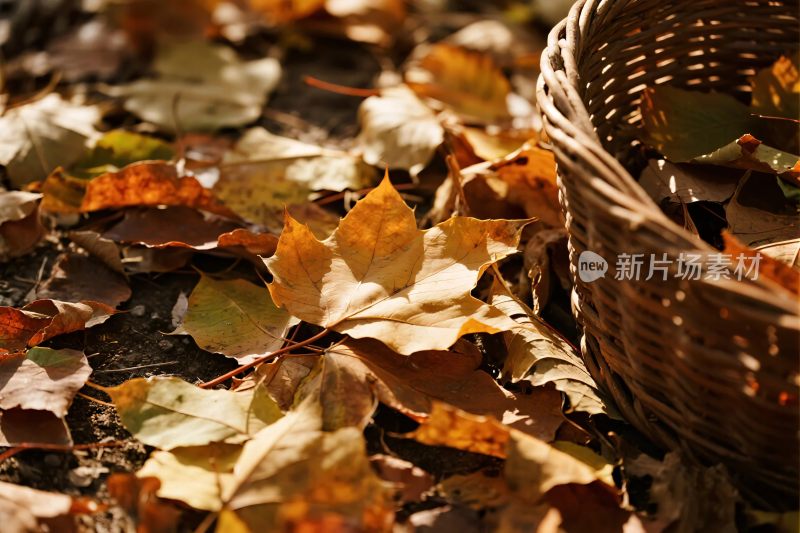 秋季落叶与篮子场景