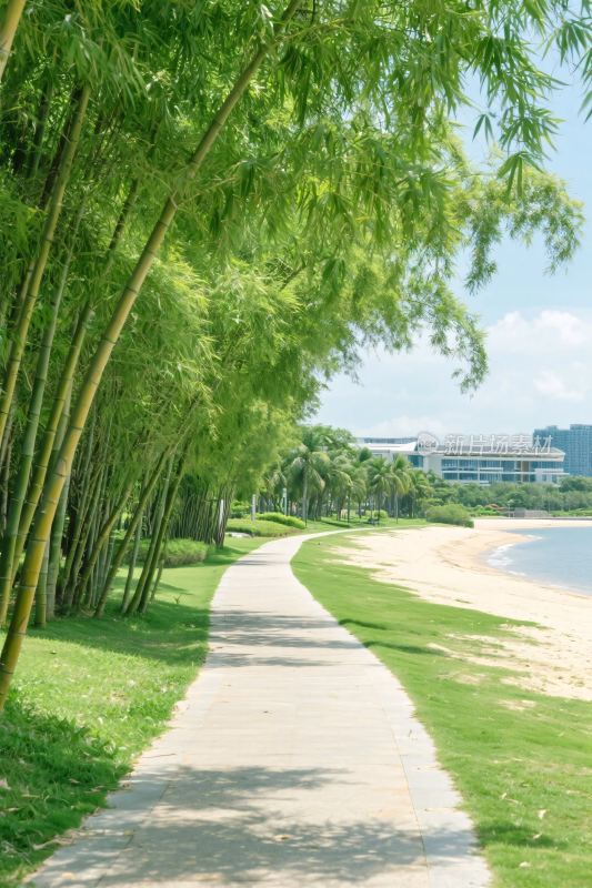 海边竹林步道风光