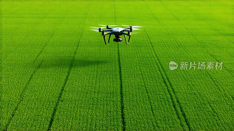 无人机巡田