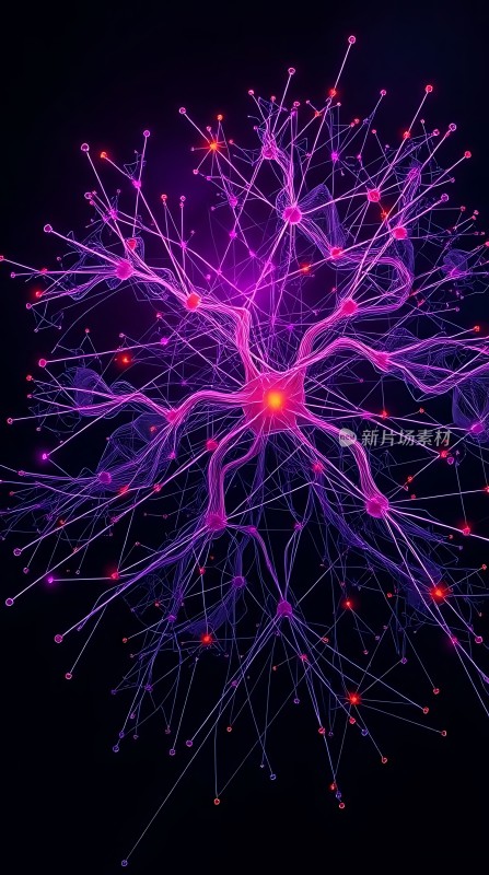 神经元网络结构图