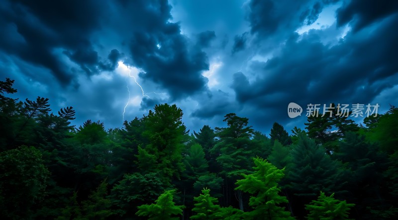 雷雨夜森林闪电