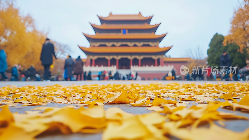 仰拍寺庙门前地上的落叶秋色