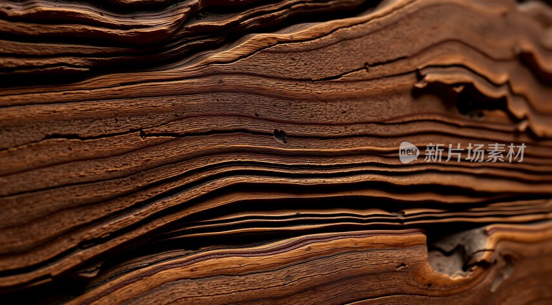 岁月痕迹木纹之美