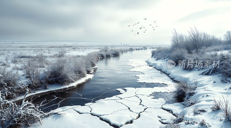 冰封雪原上的宁静河流