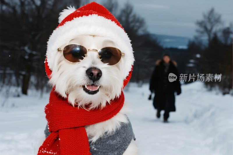 戴圣诞帽墨镜的小狗雪景