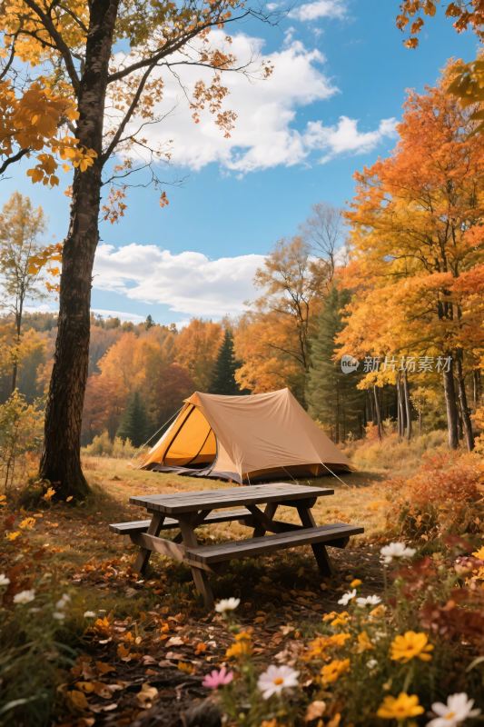 秋日森林露营风景