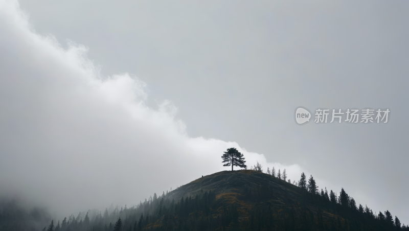 山上一棵孤树天空阴云密布高清图片