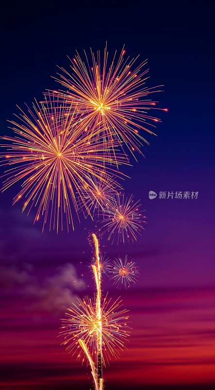 夜空烟花绽放色彩斑斓璀璨夺目