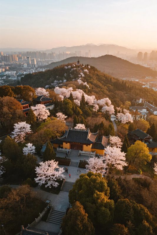 古建樱花景区航拍图