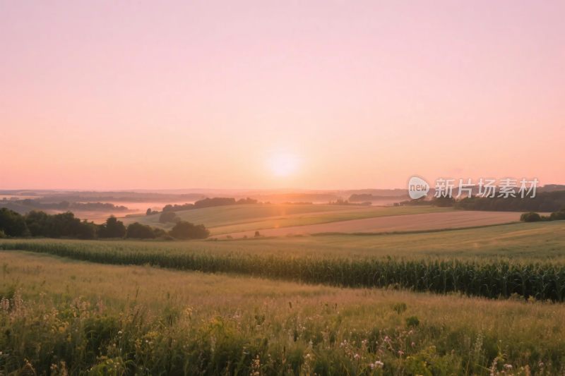 田园风景日出美景