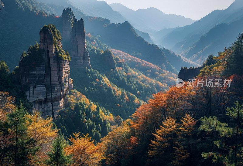 巴山秋色米仓山