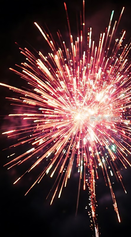 夜空烟花绽放色彩斑斓光芒四射