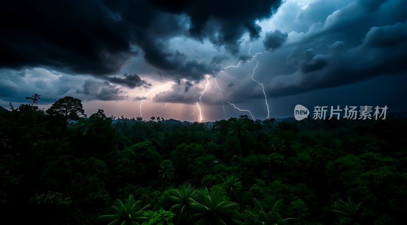 雷雨夜森林闪电