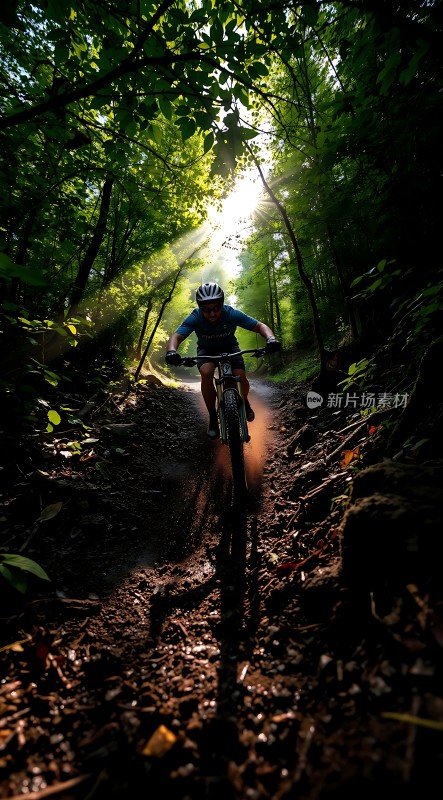 阳光下的骑行者穿越森林小径