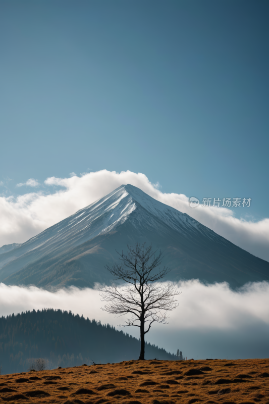 一座云雾缭绕山前的树高清风景图片