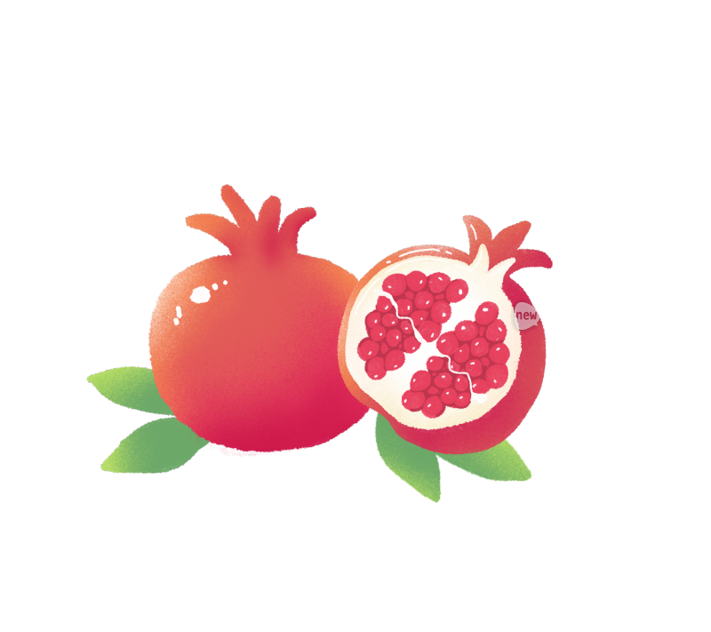 手绘石榴果实插画