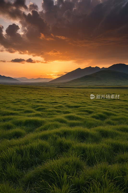 日落时分草地上有山脉高清风景图片