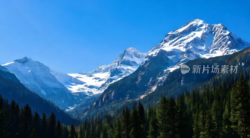 雪峰林海自然奇观