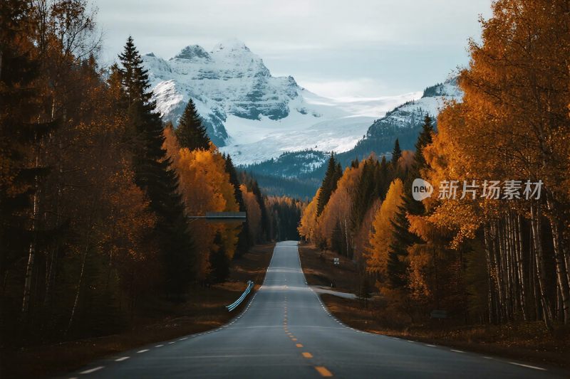 秋日山间公路风景