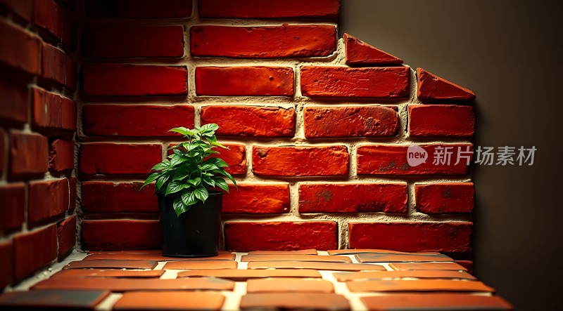 红砖墙角绿植点缀