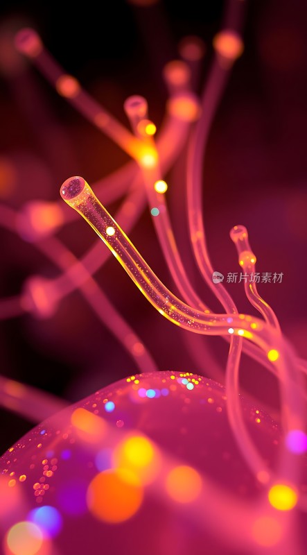 光之舞光纤与色彩的炫目交织